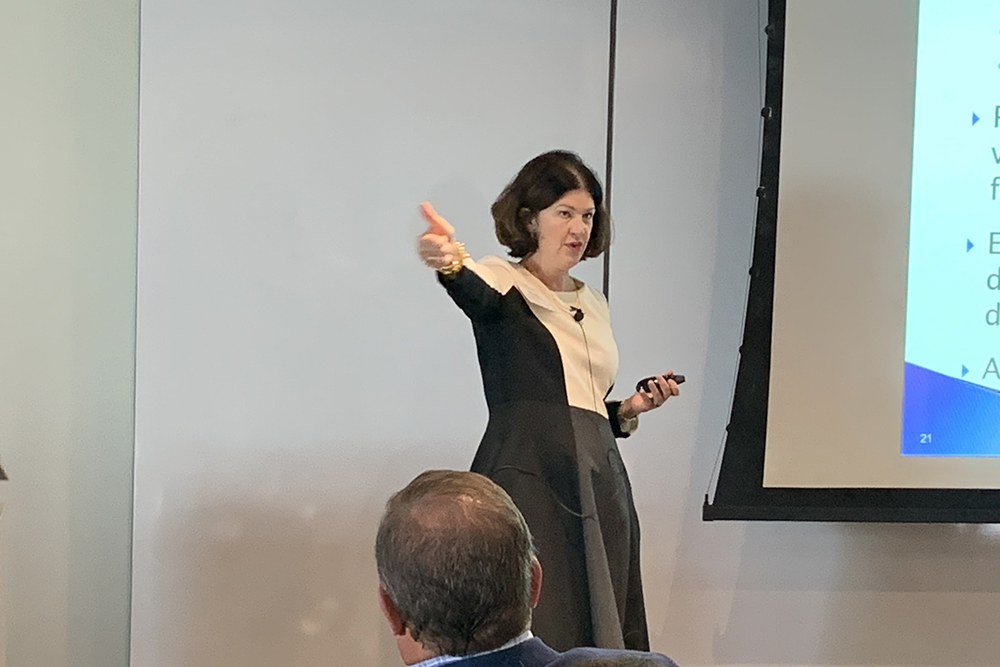 Attorney Nicola Toubia standing in front of a white board and projector screen, presenting on the topic of nonprofit governance and risk management