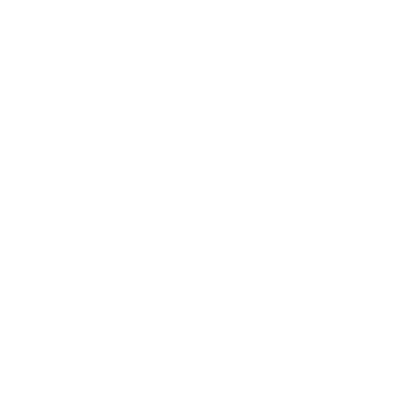 JVSA logo