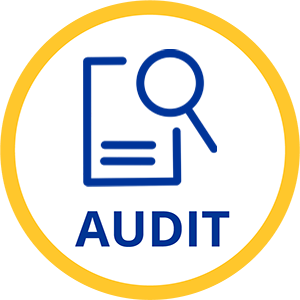 corporate audit service icon