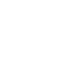 corporate audit services icon