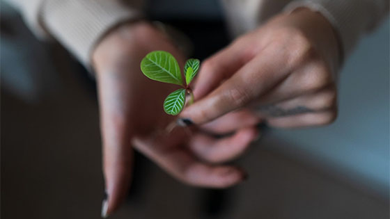 Keep Your Not-for-Profit Building and Growing