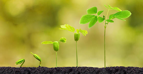 Navigating Board Changes Through Your Nonprofit’s Lifecycle